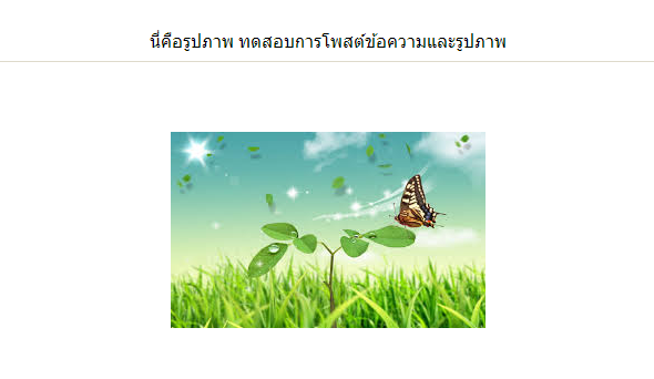 ทดสอบ2