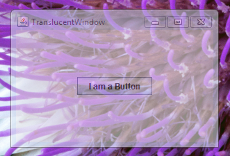 Java GUI  Translucent 