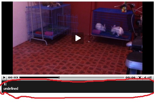 jwplayer แทบข้างล่าง
