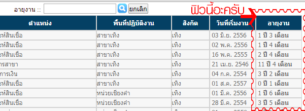 ค้นหาปี