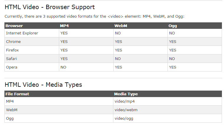 HTML5 Video Format