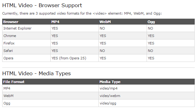 HTML5 Video Format Support