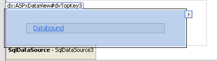 DataView