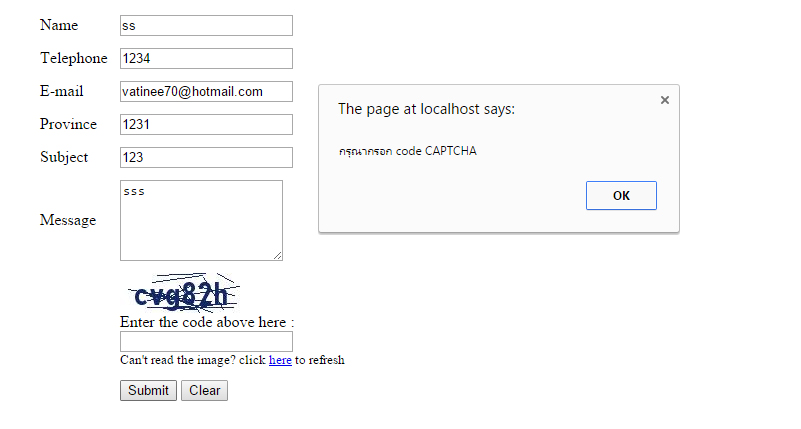 error captcha