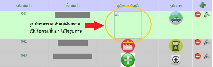 ขยายภาพ
