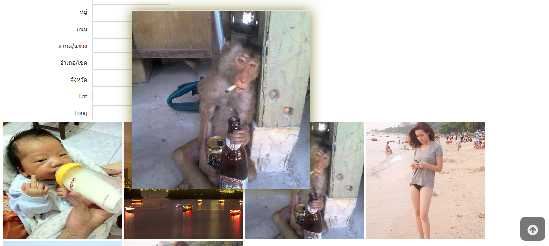 sura_monkey sura_monkey