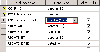 SQL Server NVarvhar Data Type