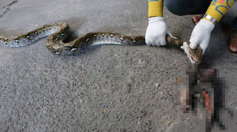 รูปภาพ รูปภาพ