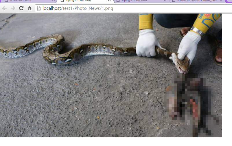 url  รูปหน้าแรกค่ะ