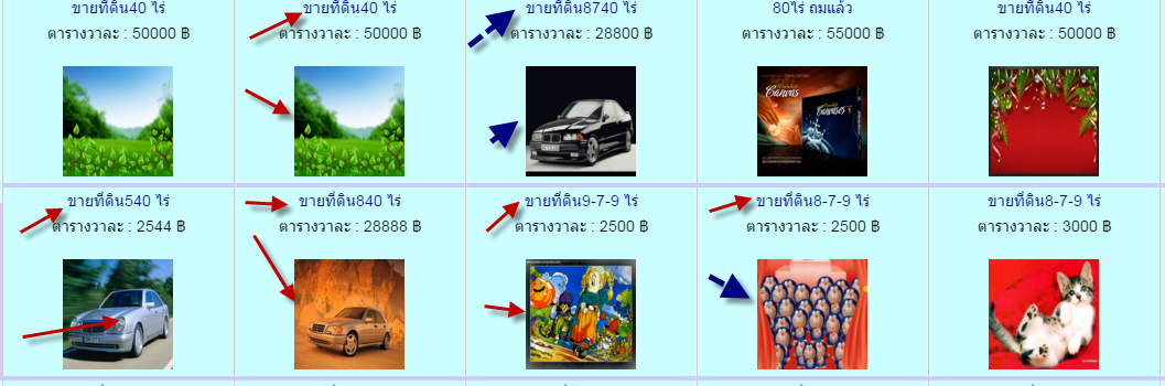 ้้้665 ้้้665