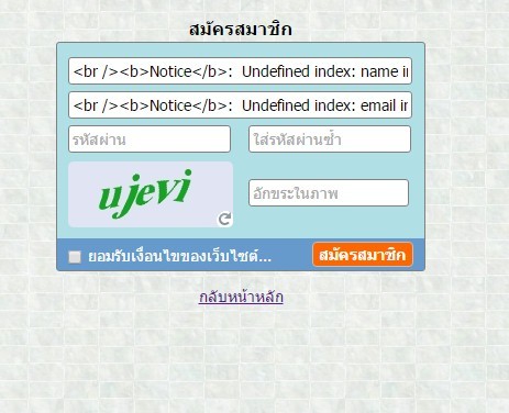 error variable