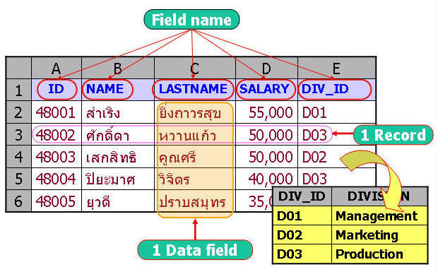 ส่วนประกอบ