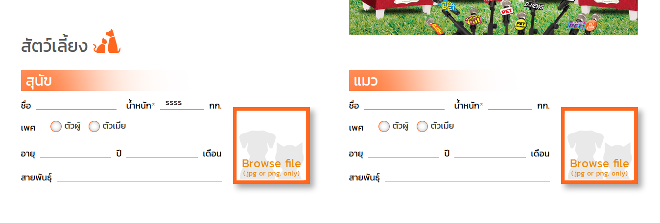 ตัวอย่าง