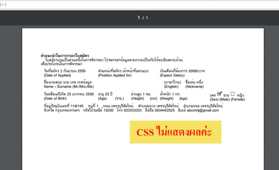 error-mPDF-css1