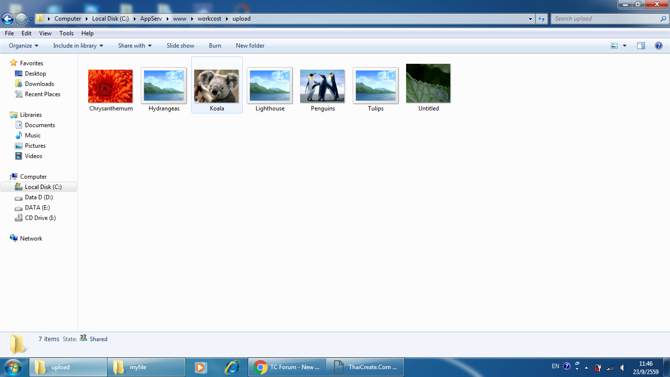 windows photo viewer cant open this picture becau