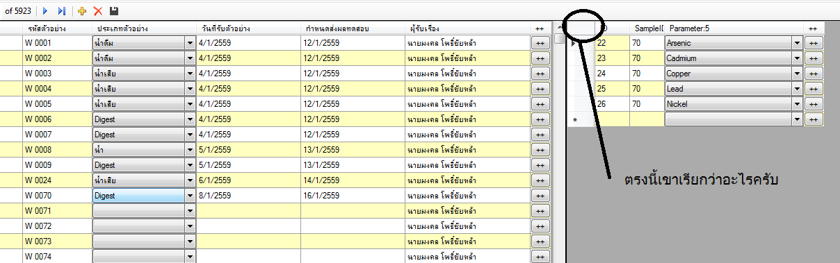 1311๘1 1311๘1