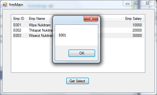 Windows Form ListView Windows Form ListView