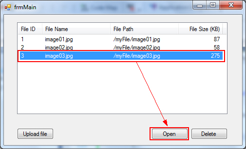 Windows Form Upload File to Database