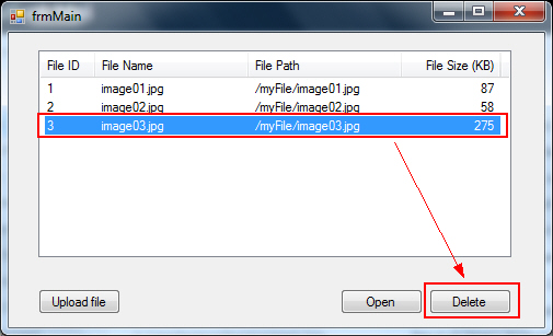 Windows Form Upload File to Database