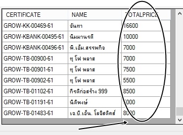 ต้องการทราบผลรวมจากคอลั่มใน Datagrid ขอทราบแนวทางหรือโค๊ดหน่อยครับ