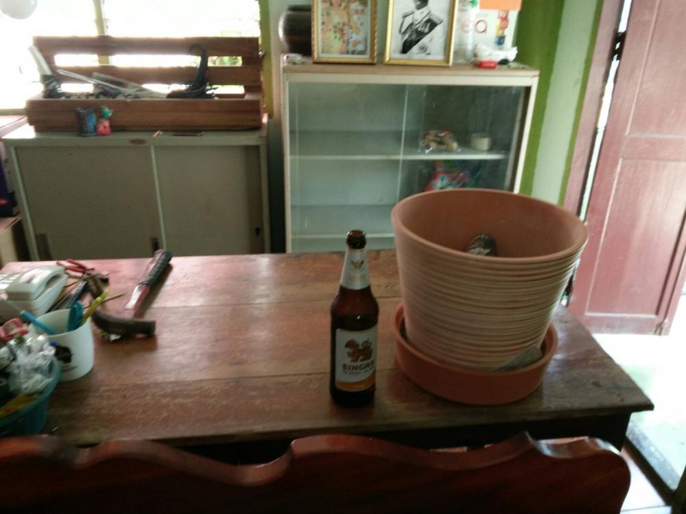 assA_assB_assE assA_assB_assE