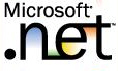 .NET Framework Version 1.1