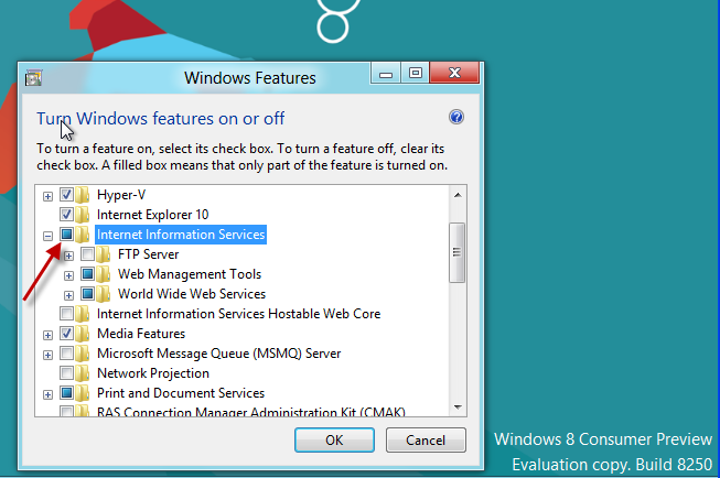 IIS8 and Windows 8 Consumer Preview