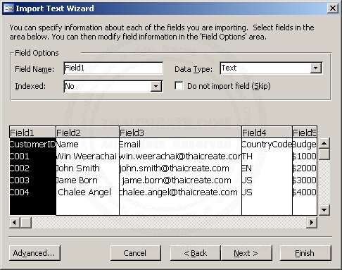 Access Import