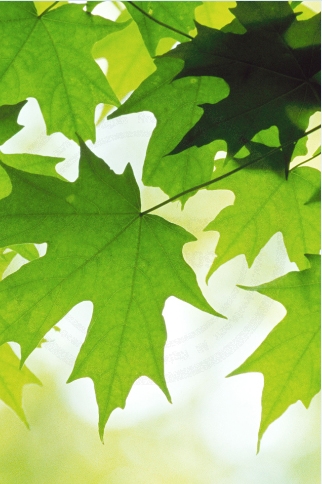 Android Background Color and Background Image