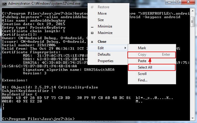 Android Google Map Android Google Map