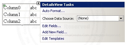 ASP.NET DetailView Control