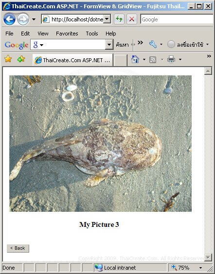 ASP.NET FormView Control ASP.NET FormView Control