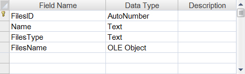 ASP.NET Access BLOB Binary Data ASP.NET Access BLOB Binary Data