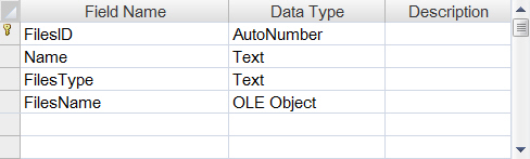 ASP.NET Access BLOB Binary Data