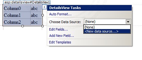 ASP.NET & AccessDataSource and DetailsView