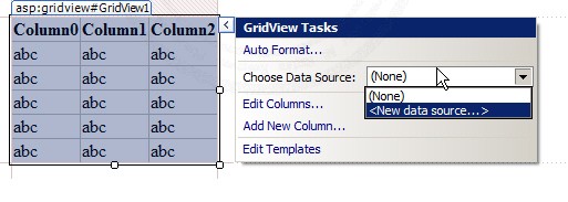 ASP.NET & AccessDataSource and GridView