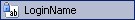 ASP.NET LoginName