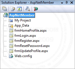 ASP.NET Register/Login/Reset Password/Update Profile