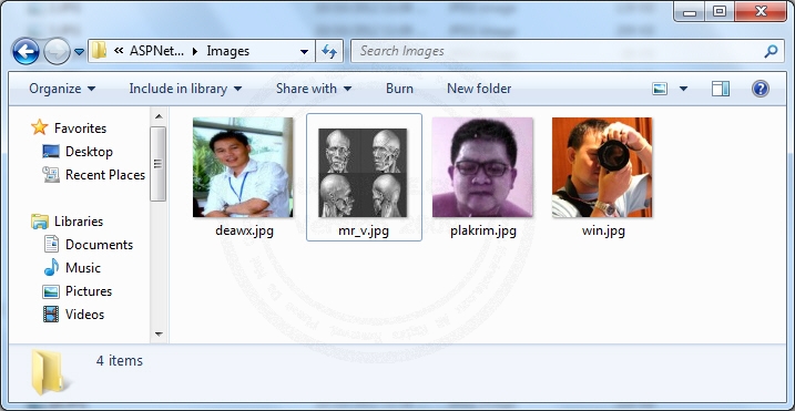 Crystal Report Image Picture Bitmap Crystal Report Image Picture Bitmap