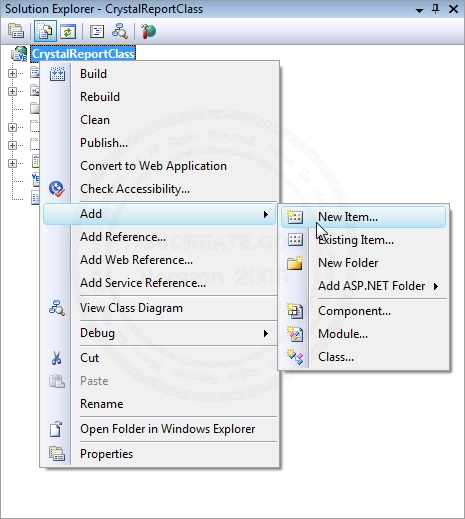 Crystal Report Class .NET Crystal Report Class .NET