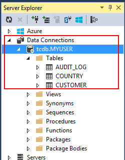 Entity Framework Oracle Database