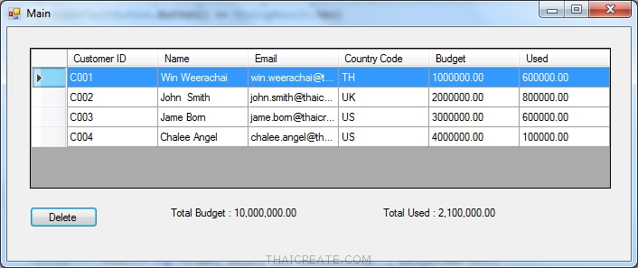 DataGridView List Show Data