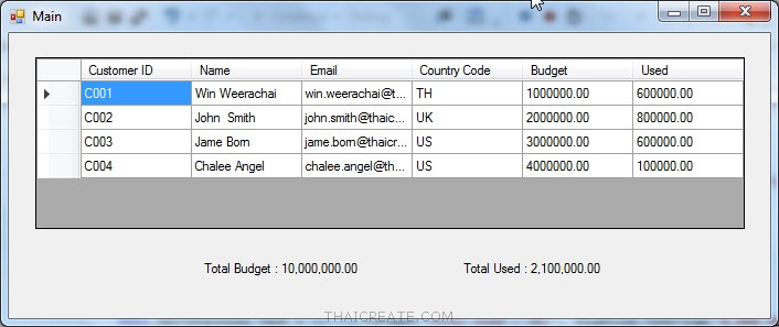 DataGridView List Show Data