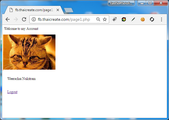 Facebook Login JavaScript API Facebook Login JavaScript API