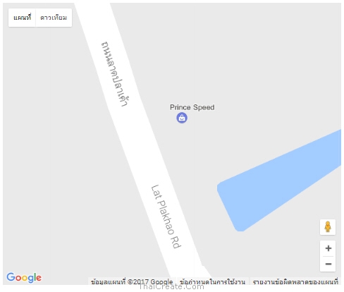 Google Map API Map Type