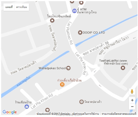 Google Map API Map Type