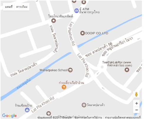 Google Map API Map Type