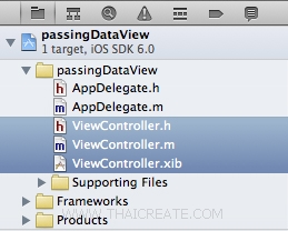 ]iOS/iPhone Passing Data Between View