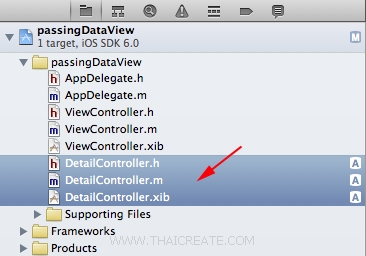 ]iOS/iPhone Passing Data Between View