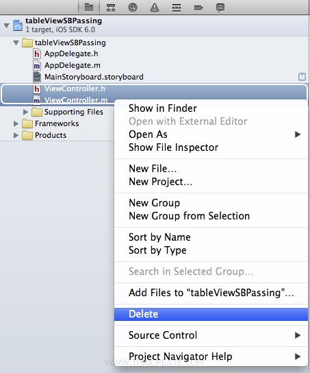 iOS/iPhone Storyboard and Passing Data Between View